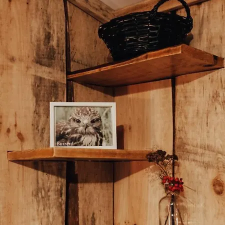 Hoeve Twente - De Buizerd * Heythuysen