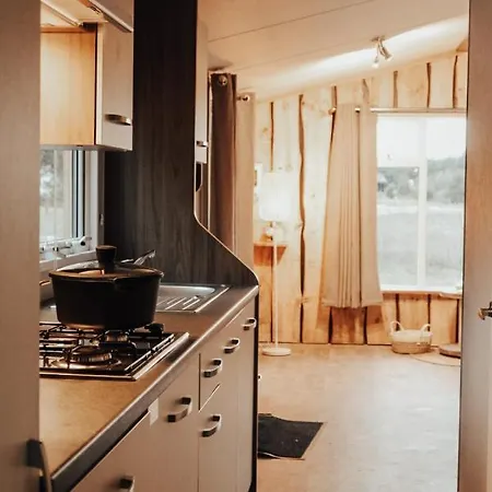 Hoeve Twente - De Buizerd *