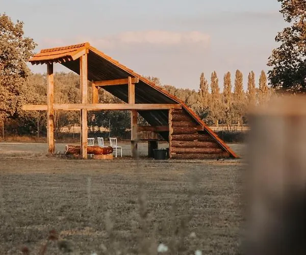 Chalet Hoeve Twente - De Buizerd Heythuysen