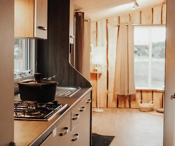 Hoeve Twente - De Buizerd *