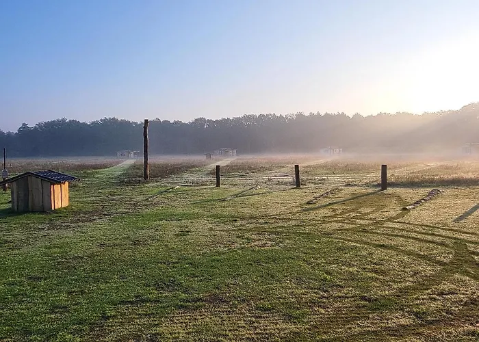 Hoeve Twente - De Buizerd * Heythuysen