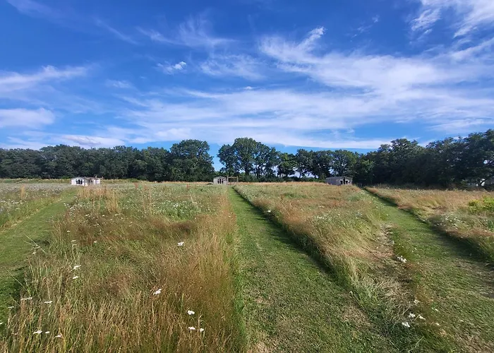 Hoeve Twente - De Buizerd Chalet *