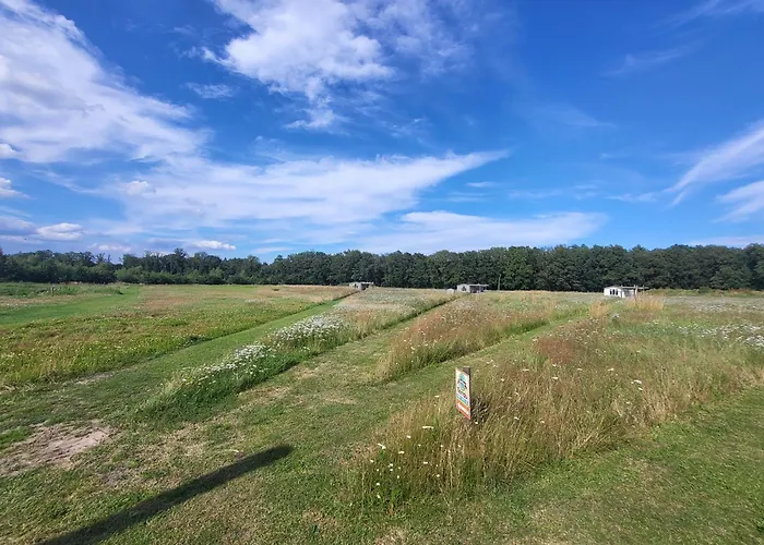 Hoeve Twente - De Buizerd *