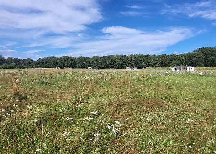 Hoeve Twente - De Buizerd * Heythuysen