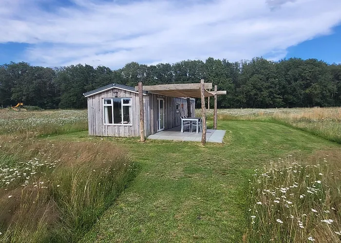 Hoeve Twente - De Buizerd