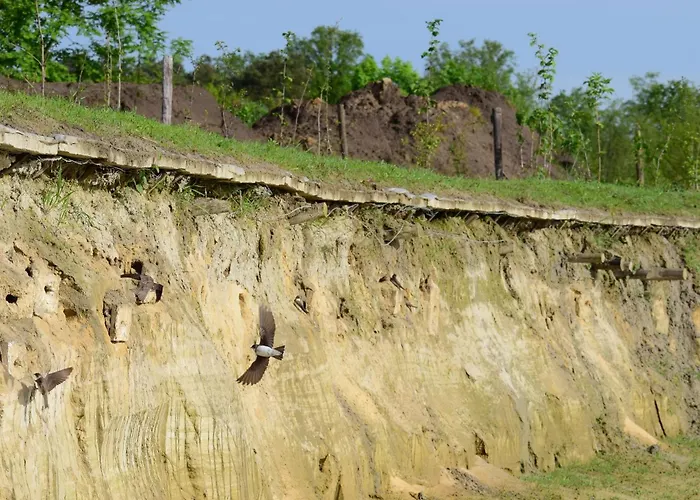 Hoeve Twente - De Buizerd