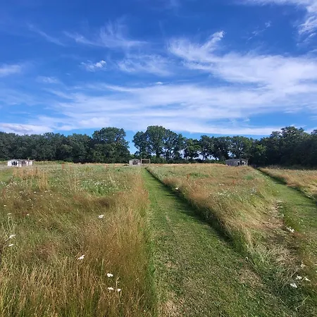 Hoeve Twente - De Buizerd Chalet *
