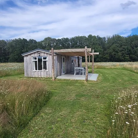 Hoeve Twente - De Buizerd