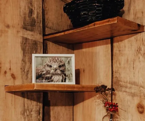 Hoeve Twente - De Buizerd * Heythuysen