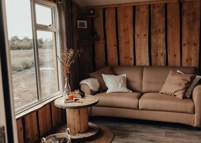 Hoeve Twente - De Buizerd * Heythuysen