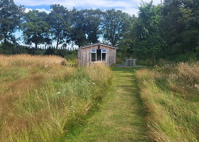 Chalet Hoeve Twente - De Buizerd