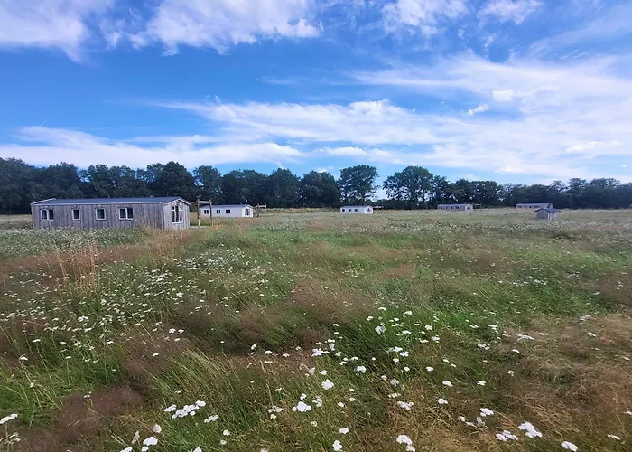 Hoeve Twente - De Buizerd Chalet *